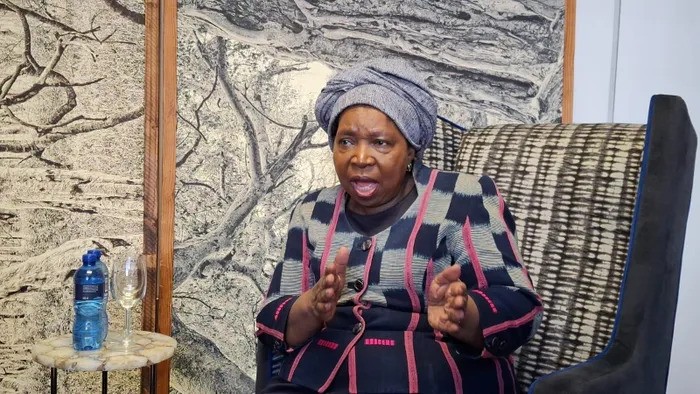 Former African Union Commission chairperson Dr Nkosazana Dlamini-Zuma has rejected claims that removing undocumented foreign nationals would ease unemployment.
